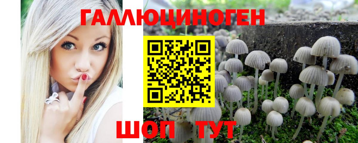 Псилоцибиновые грибы Psilocybe Лангепас
