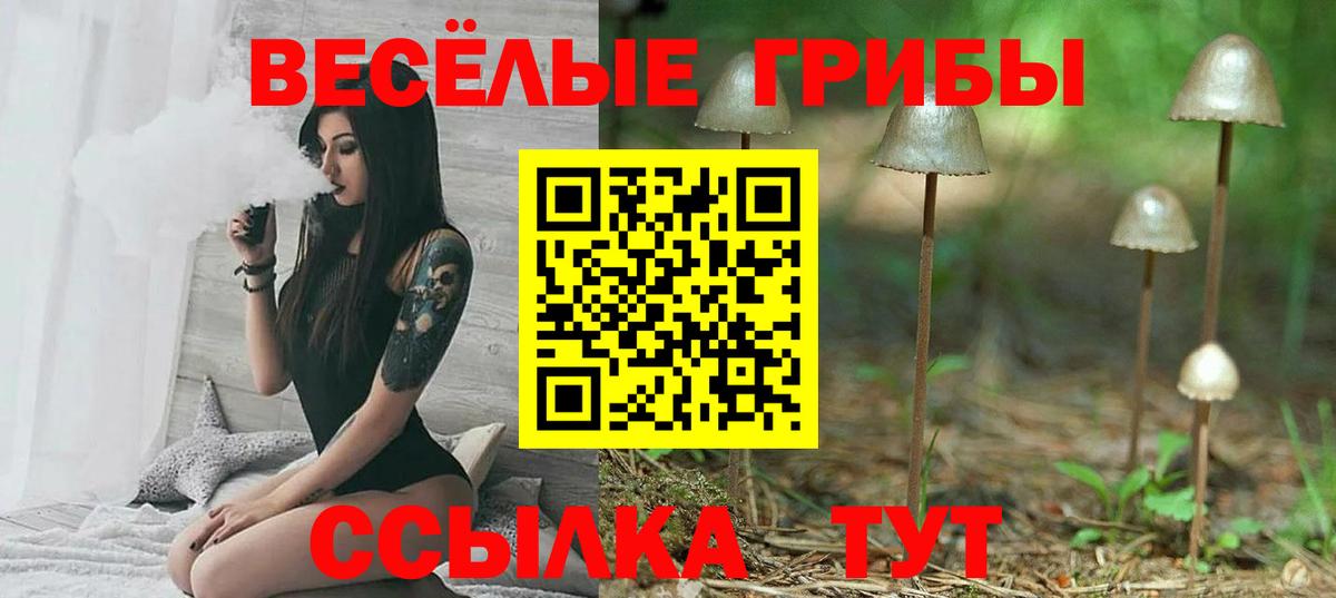 Псилоцибиновые грибы Psilocybine cubensis  Вход с VPN  Галлюциногенные грибы MAGIC MUSHROOMS  Лангепас 
